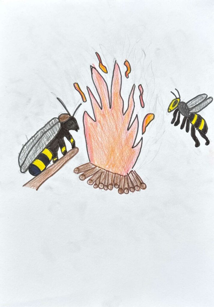 2º Concurso de Bocetos